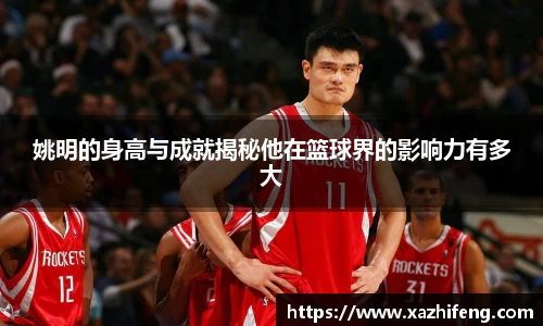 BB贝博登录入口