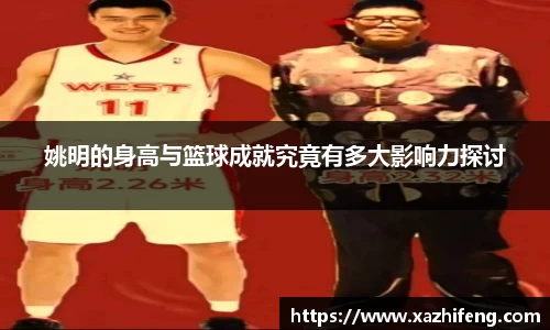 BB贝博登录入口