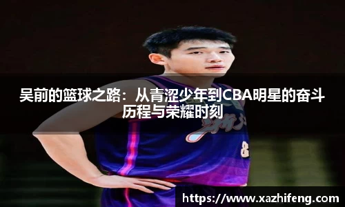 BB贝博登录入口
